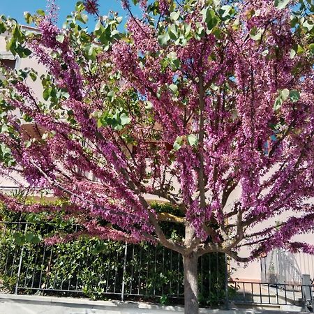 Via Della Musica Διαμέρισμα Vicchio Εξωτερικό φωτογραφία